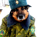 Сергей Макаров