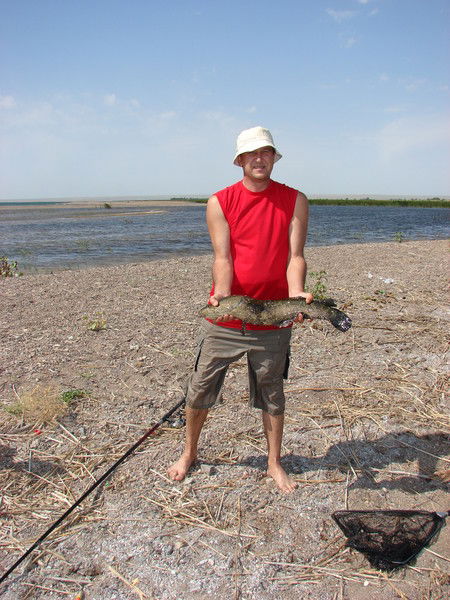 Петр Сергунин
