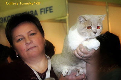 Людмила Бородавкина