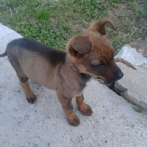 Евгений Нефедов