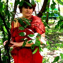 Елена Привалова