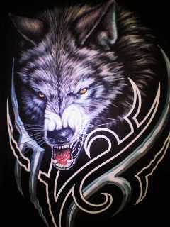 Сергей Ромащенко