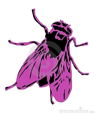 Мария Байкалова