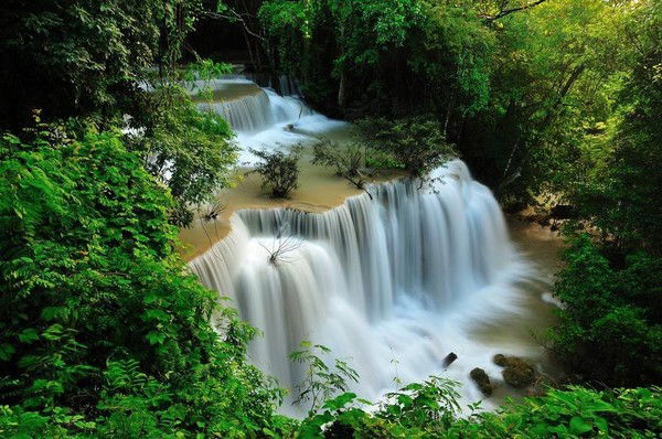 Алла Денисова