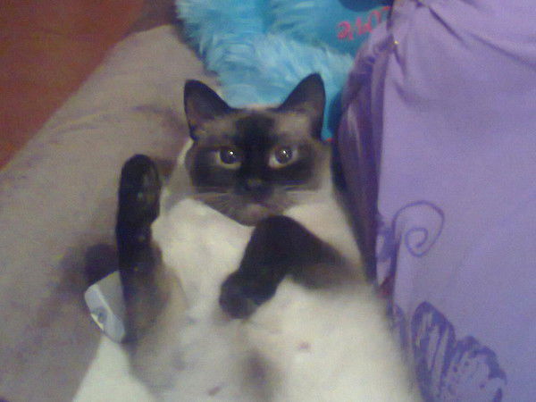 Роза Мизанбекова