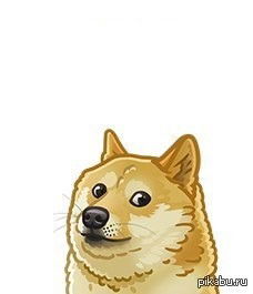 Fgfgffgfgf Rytryrttrrth