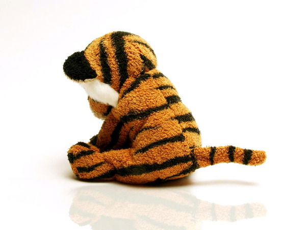 Николай Лазуткин