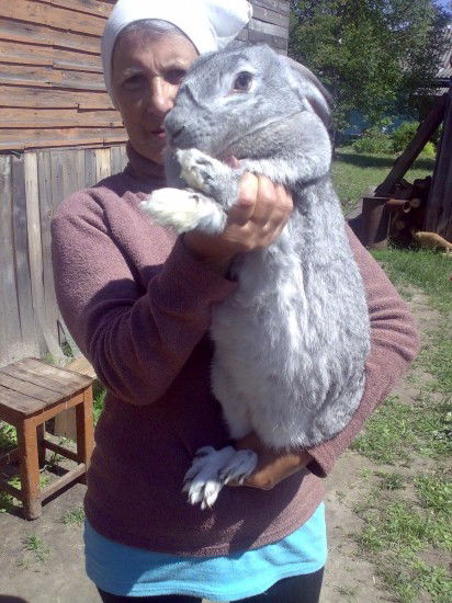 Александр Федосов