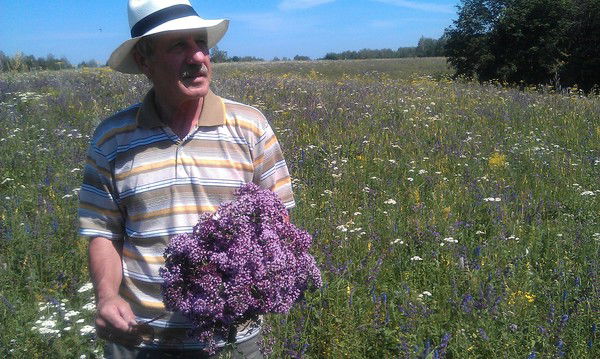 Александр Курочкин