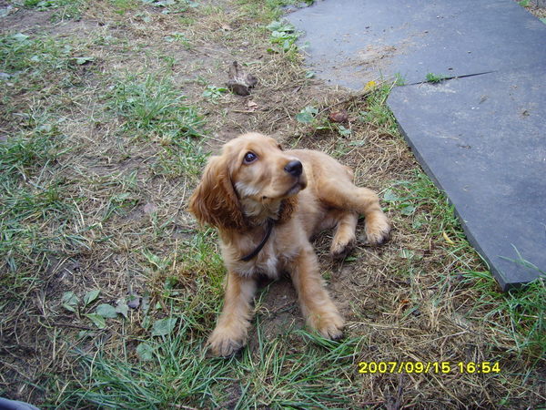 Катюня Любченко