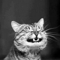 Сергей Юнгблюд