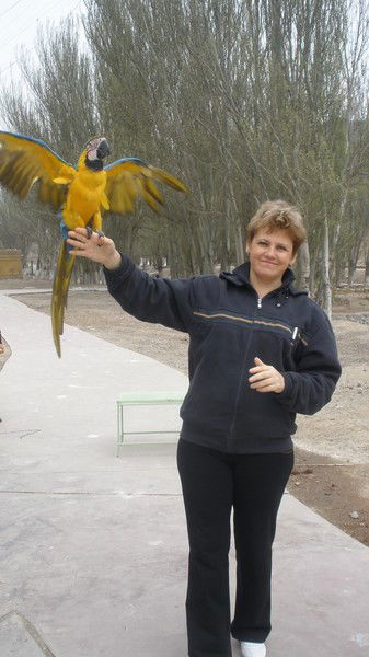 Елена Ельчанинова