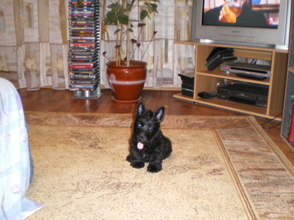 Ягафаров Альберт