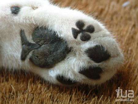 Наталья Медведева