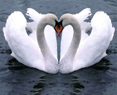 Салима Тотеева