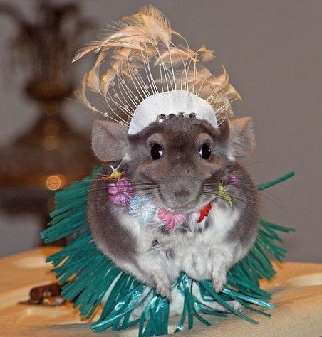 Сережа Осадчий