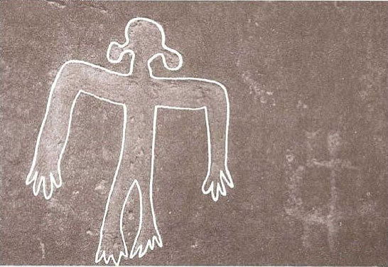 Дмитрий Плиско