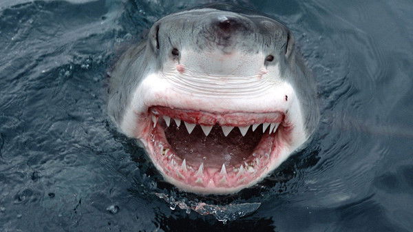 Кантемир Барагунов