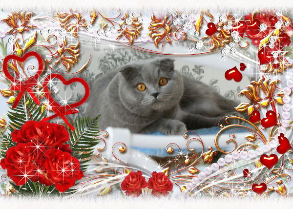 Татьяна Лачугина