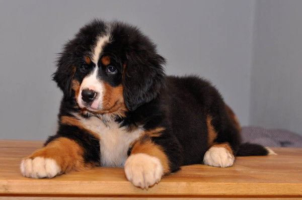 Юлия Даниленко