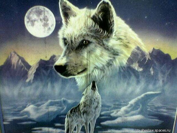 Сергей Солдатов