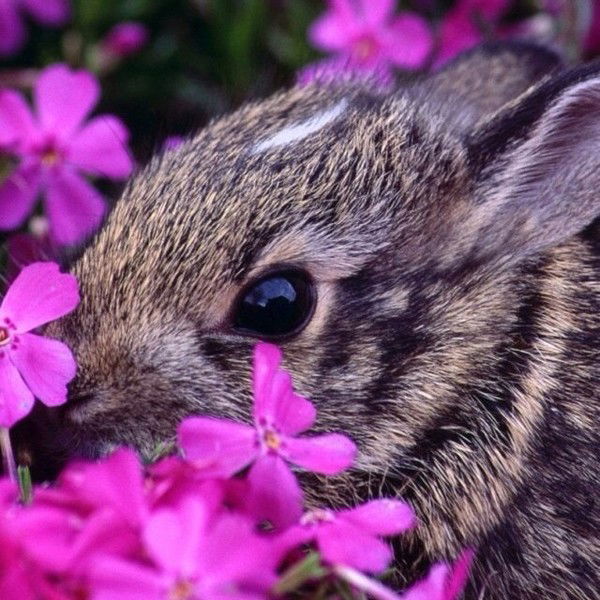 Валерия Смирнова