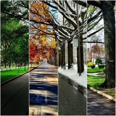 Субхидам Шакирова