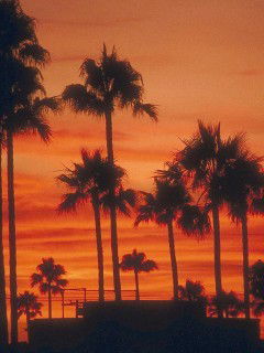 Арман Мукашев