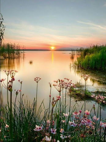 Галина Сергеева