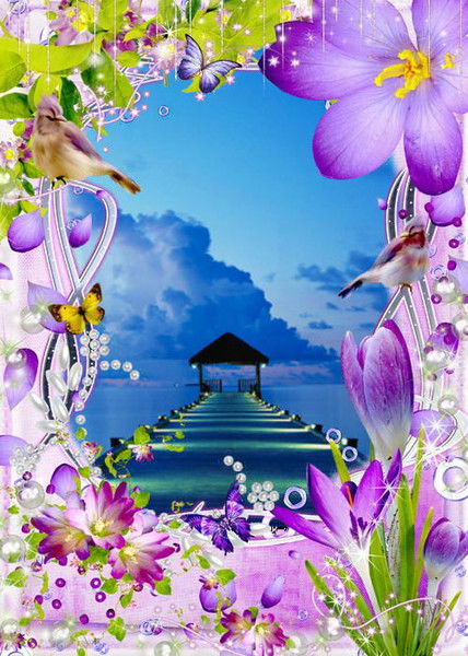 Наталья Томина