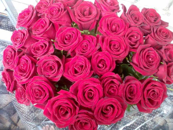 Гульнара Хисамова