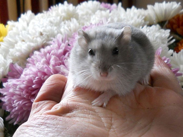 Светлана Морозова