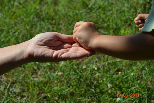 Николай Козин