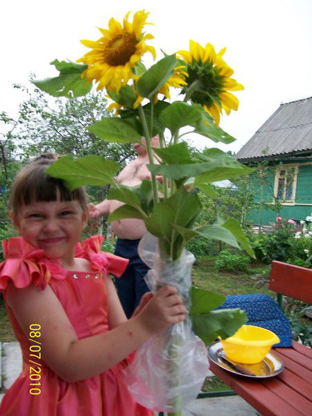 Елена Иштынгина