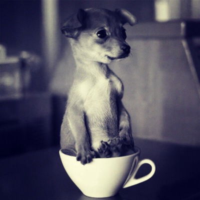 Арут Карапетян