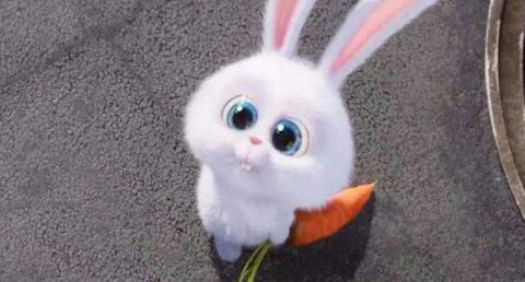 Ирина Кислярова