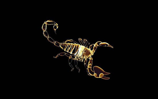 Николай Тарасов