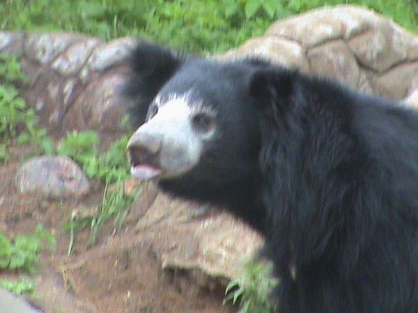 Михаил Кузенков