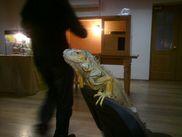 Валера Трясучкин