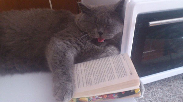 Виктория Косякова