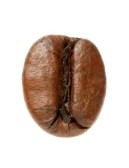 Дмитрий Осипов