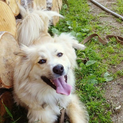 Дмитрий Никифоров