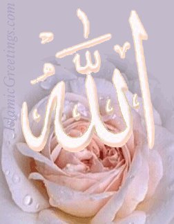 Эльмира Момынкул