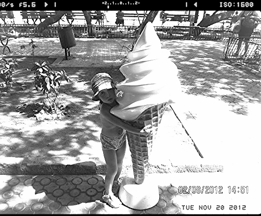 Алексей Торопов