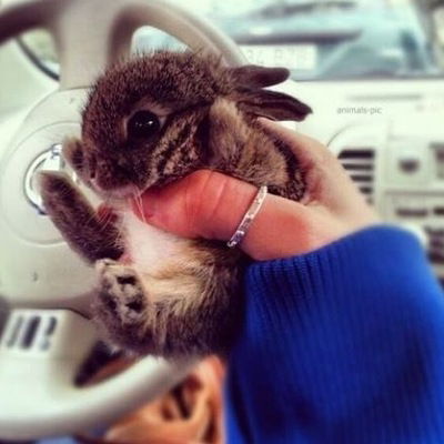 Римма Горбенко