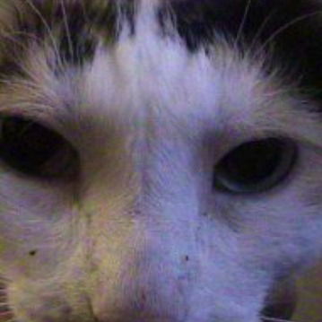 Сергей Заяц