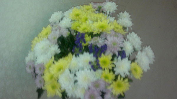 Любовь Инкогнито