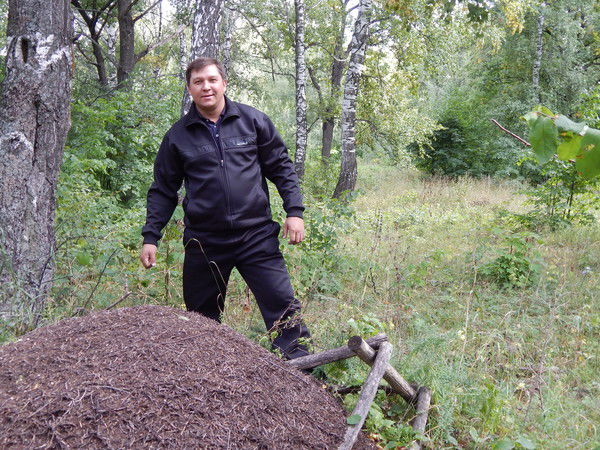 Ринат Ахмеров