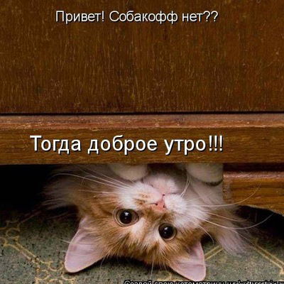 Юлия Балабанова