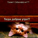 Юлия Балабанова
